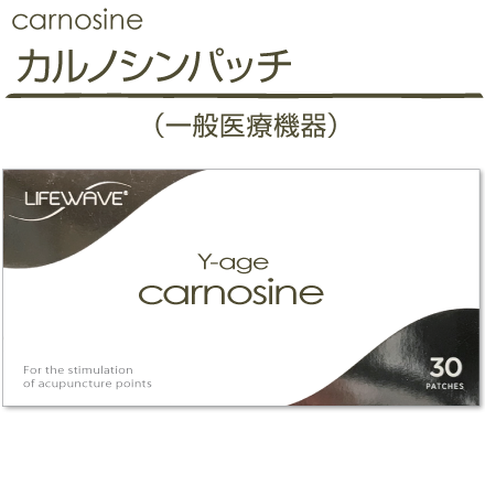 ライフウェーブ lifewave カルノシン carnosine パッチ - 健康用品